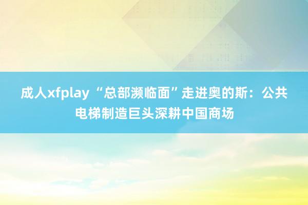 成人xfplay “总部濒临面”走进奥的斯：公共电梯制造巨头深耕中国商场