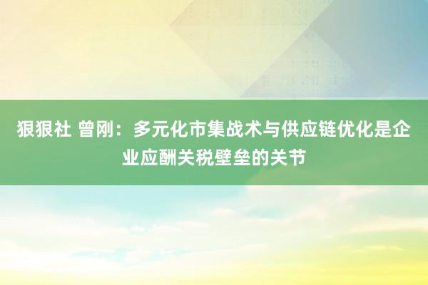 狠狠社 曾刚：多元化市集战术与供应链优化是企业应酬关税壁垒的关节