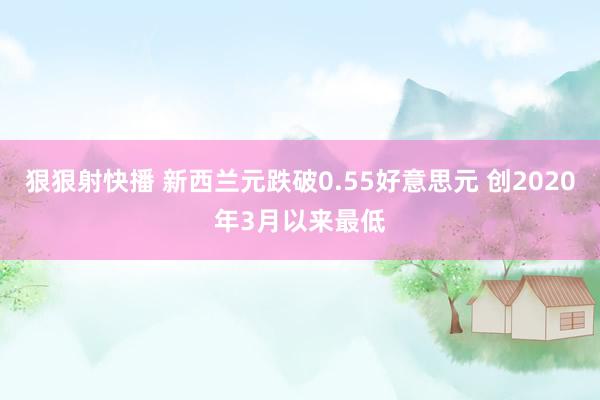 狠狠射快播 新西兰元跌破0.55好意思元 创2020年3月以来最低