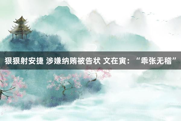 狠狠射安捷 涉嫌纳贿被告状 文在寅：“乖张无稽”