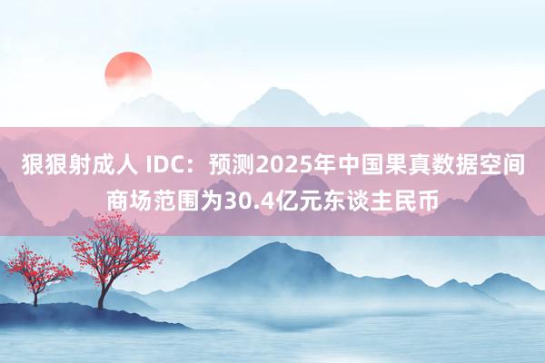 狠狠射成人 IDC：预测2025年中国果真数据空间商场范围为30.4亿元东谈主民币