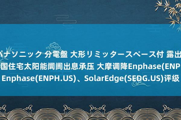 パナソニック 分電盤 大形リミッタースペース付 露出・半埋込両用形 好意思国住宅太阳能阛阓出息承压 大摩调降Enphase(ENPH.US)、SolarEdge(SEDG.US)评级