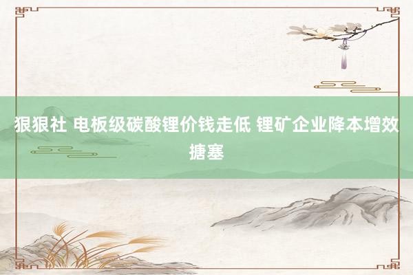 狠狠社 电板级碳酸锂价钱走低 锂矿企业降本增效搪塞