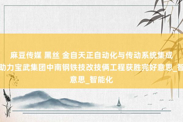麻豆传媒 黑丝 金自天正自动化与传动系统集成技能助力宝武集团中南钢铁技改技俩工程获胜完好意思_智能化