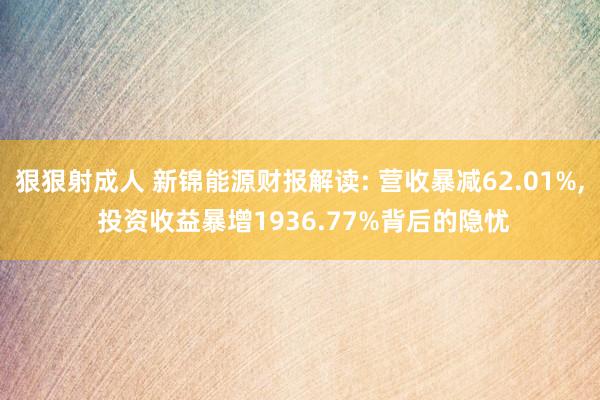 狠狠射成人 新锦能源财报解读: 营收暴减62.01%， 投资收益暴增1936.77%背后的隐忧